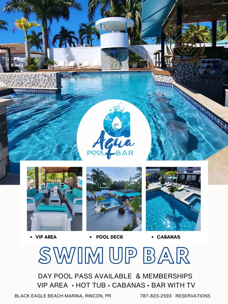 Aqua Pool Bar swim-up bar Rincón Puerto Rico